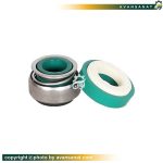 مکانیکال سیل بورگمن سیلیکون وایتون سایز 28
